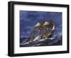 Frigate Regina of Kingdom of Sardinia-null-Framed Premium Giclee Print