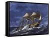 Frigate Regina of Kingdom of Sardinia-null-Framed Stretched Canvas