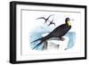 Frigate-Theodore Jasper-Framed Premium Giclee Print