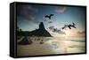 Frigatebirds, Fregata Magnificens, on Praia Da Conceicao-Alex Saberi-Framed Stretched Canvas