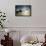 Frigatebirds, Fregata Magnificens, on Praia Da Conceicao-Alex Saberi-Framed Stretched Canvas displayed on a wall