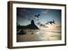 Frigatebirds, Fregata Magnificens, on Praia Da Conceicao-Alex Saberi-Framed Premium Photographic Print