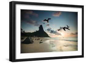 Frigatebirds, Fregata Magnificens, on Praia Da Conceicao-Alex Saberi-Framed Premium Photographic Print