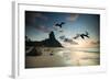 Frigatebirds, Fregata Magnificens, on Praia Da Conceicao-Alex Saberi-Framed Photographic Print