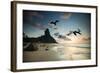 Frigatebirds, Fregata Magnificens, on Praia Da Conceicao-Alex Saberi-Framed Photographic Print