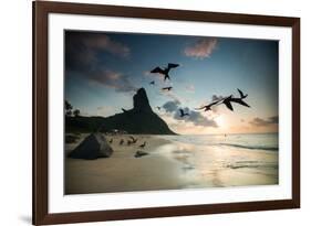 Frigatebirds, Fregata Magnificens, on Praia Da Conceicao-Alex Saberi-Framed Photographic Print