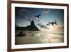Frigatebirds, Fregata Magnificens, on Praia Da Conceicao-Alex Saberi-Framed Photographic Print