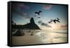 Frigatebirds, Fregata Magnificens, on Praia Da Conceicao-Alex Saberi-Framed Stretched Canvas