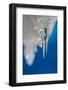 Frigid Fangs-Ursula Abresch-Framed Photographic Print