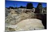 Frigidarium of the Baths of the Roman Villa of Els Munts, Altafulla, Tarragona-null-Mounted Giclee Print