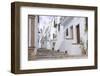 Frigiliana, Andalucia, Spain-Charles Bowman-Framed Photographic Print