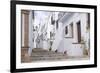 Frigiliana, Andalucia, Spain-Charles Bowman-Framed Photographic Print