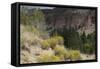 Frijoles Canyon, Bandelier National Monument, New Mexico-null-Framed Stretched Canvas
