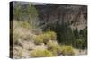 Frijoles Canyon, Bandelier National Monument, New Mexico-null-Stretched Canvas