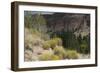 Frijoles Canyon, Bandelier National Monument, New Mexico-null-Framed Photographic Print