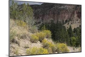 Frijoles Canyon, Bandelier National Monument, New Mexico-null-Mounted Photographic Print
