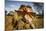 Frill-neck Lizard (Chlamydosaurus kingii), on a termite mound. Northern Territory, Australia-Paul Williams-Mounted Photographic Print