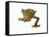 Fringed Gecko-Martin Harvey-Framed Stretched Canvas