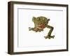 Fringed Gecko-Martin Harvey-Framed Photographic Print