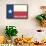 Frio River, Texas - Texas State Flag - Letterpress-Lantern Press-Framed Stretched Canvas displayed on a wall