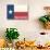 Frio River, Texas - Texas State Flag - Letterpress-Lantern Press-Art Print displayed on a wall