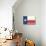 Frio River, Texas - Texas State Flag - Letterpress-Lantern Press-Art Print displayed on a wall