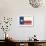 Frio River, Texas - Texas State Flag - Letterpress-Lantern Press-Framed Art Print displayed on a wall