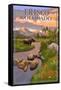 Frisco, Colorado - Moose and Meadow Scene-Lantern Press-Framed Stretched Canvas