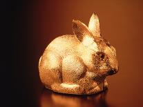 Golden Easter Bunny-Frithjof Hirdes-Photographic Print