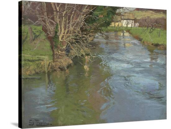 Stretched Canvas Print, , large