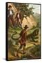 Fritz Finds an Iguana-Johann David Wyss-Framed Stretched Canvas