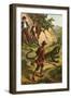 Fritz Finds an Iguana-Johann David Wyss-Framed Art Print