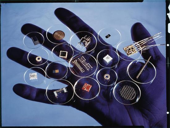 Photographic Print, , large