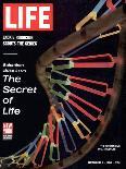 Partial DNA Helix Model, Advances in Gene Research, October 4, 1963-Fritz Goro-Photographic Print