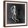 Brown Frame