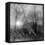 Canvas Black