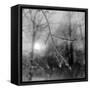 Canvas Black