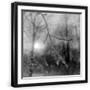 Black Frame