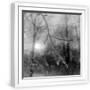 White Frame