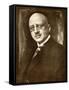 Fritz Haber German Chemist-null-Framed Stretched Canvas