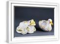 White Frame