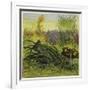 Frog and Fly-Ernest Henry Griset-Framed Giclee Print