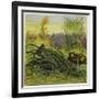 Frog and Fly-Ernest Henry Griset-Framed Giclee Print