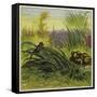 Frog and Fly-Ernest Henry Griset-Framed Stretched Canvas