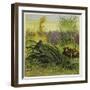 Frog and Fly-Ernest Henry Griset-Framed Giclee Print