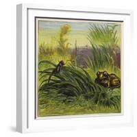 Frog and Fly-Ernest Henry Griset-Framed Giclee Print