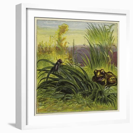 Frog and Fly-Ernest Henry Griset-Framed Giclee Print