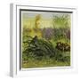 Frog and Fly-Ernest Henry Griset-Framed Giclee Print