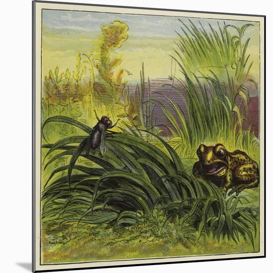 Frog and Fly-Ernest Henry Griset-Mounted Giclee Print