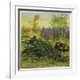 Frog and Fly-Ernest Henry Griset-Framed Giclee Print